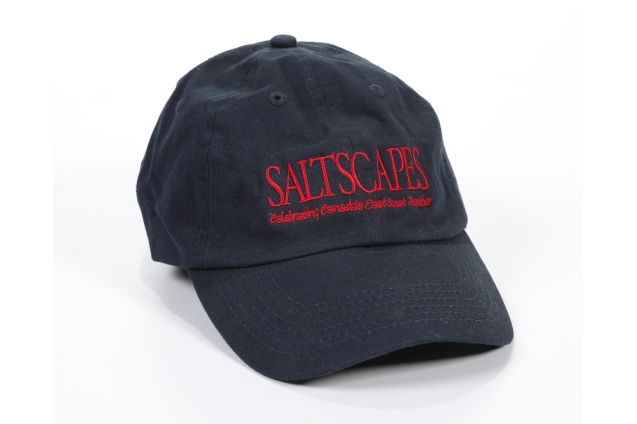 saltscapescapblue_9147
