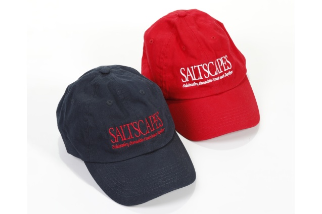 saltscapescaps-redandbluetopview_9150_551118483